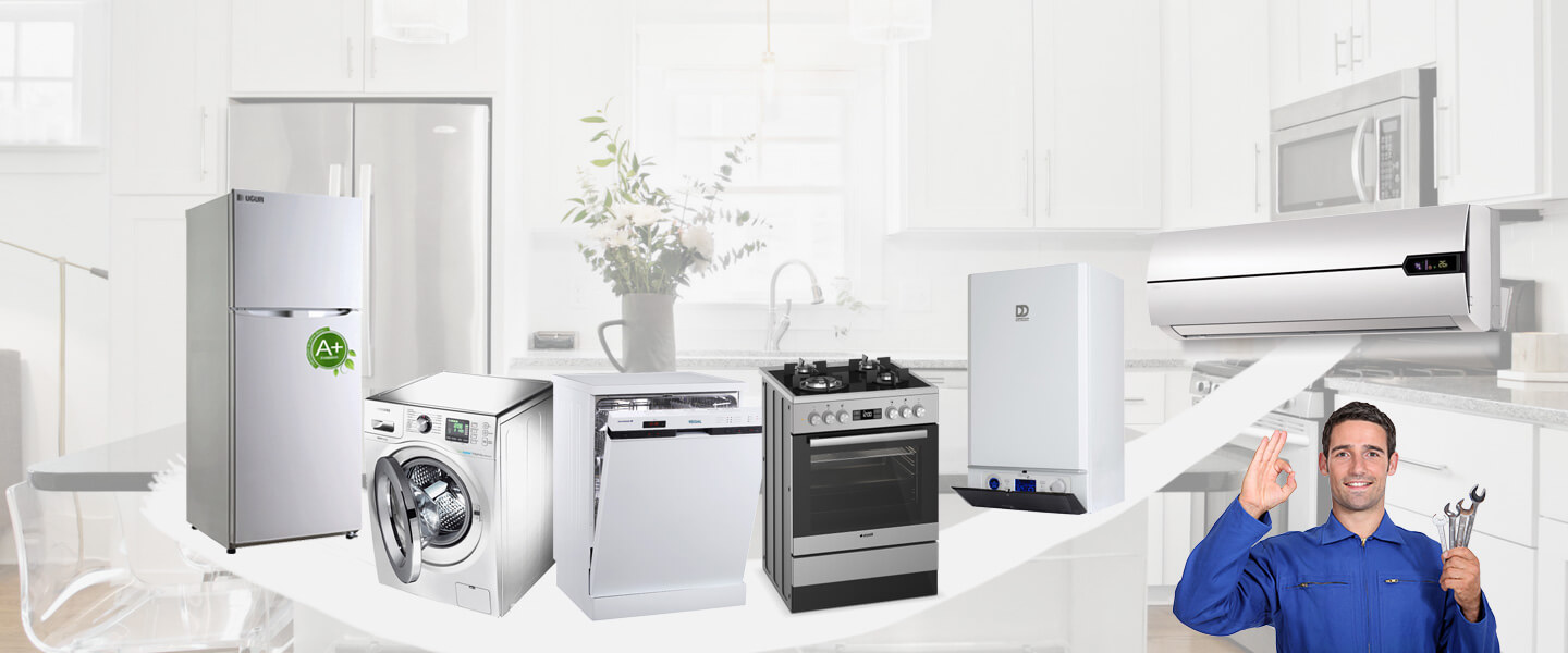 Gaziosmanpaşa Electrolux Servisi